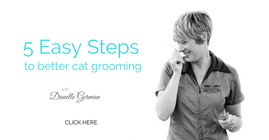 The Three Biggest Mistakes Groomers Make When Grooming Cats (and how not to make them!)