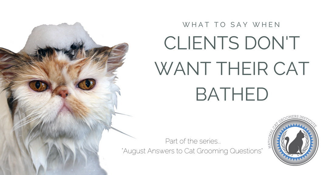 What to Say When Clients Don’t Want Their Cat Bathed