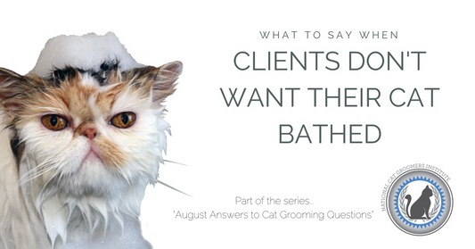 What to Say When Clients Don’t Want Their Cat Bathed