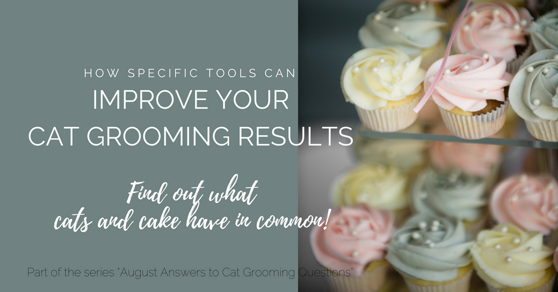 How Specific Tools Can Improve Your Cat Grooming Results