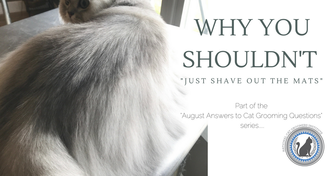 Why You Shouldn’t Just Shave Out Mats (and what to do instead)