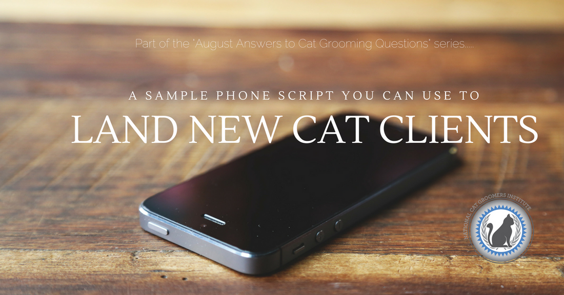 A Sample Phone Script You Can Use to Land New Cat Groom Clients