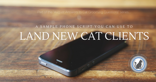 A Sample Phone Script You Can Use to Land New Cat Groom Clients
