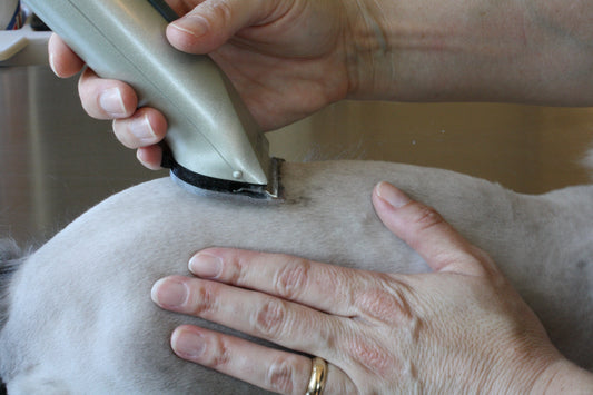 Why Shave in Reverse?