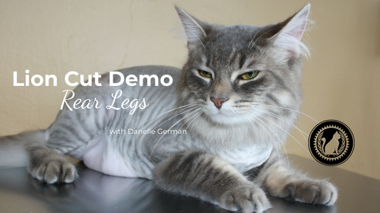 Watch Danelle's live lion cut demo!
