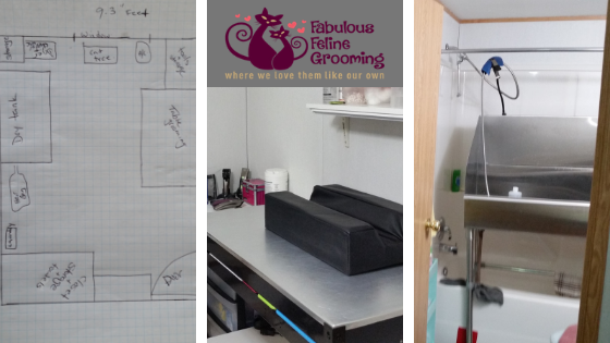 Fabulous Feline Grooming with Maria Drechsel, CFMG