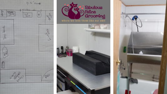 Fabulous Feline Grooming with Maria Drechsel, CFMG