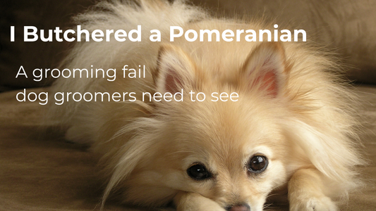 The Day I Butchered a Pomeranian—And What It Taught Me About Cat Grooming