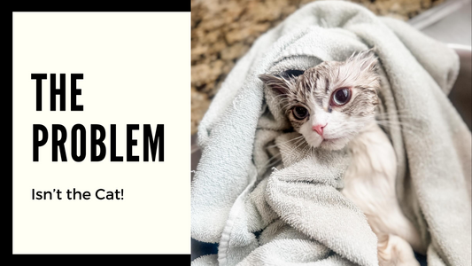 The Problem Isn't the Cat