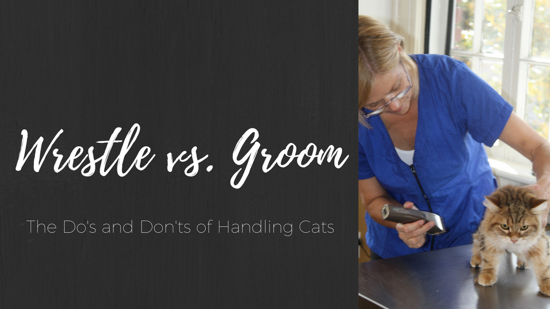 Wrestle vs. Groom