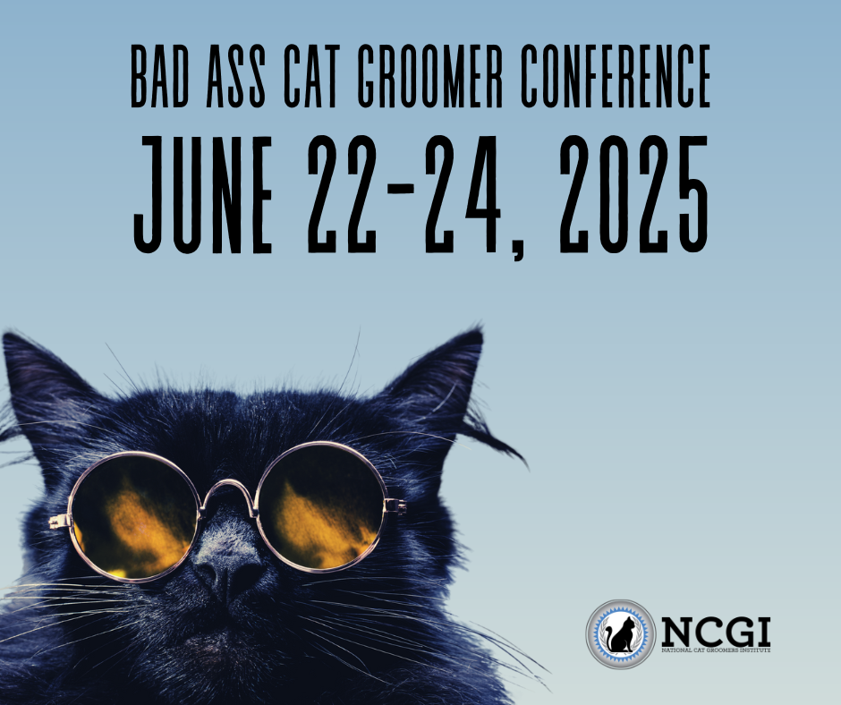 How to Tell If Cat Grooming is Bad: Warning Signs You Must Know