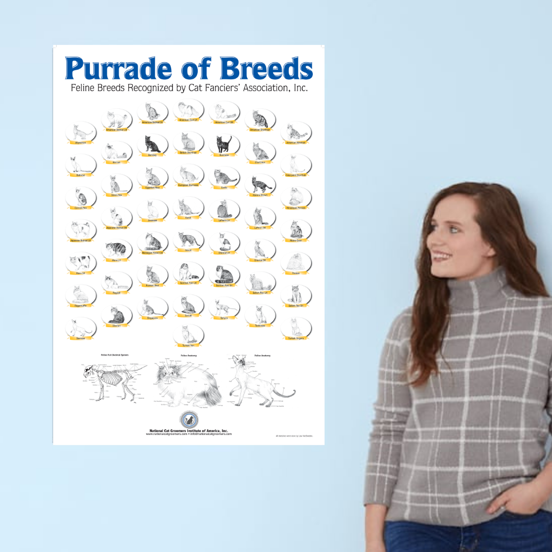 Woman leaning against wall looking at poster hanging on wall with cat breed drawings
