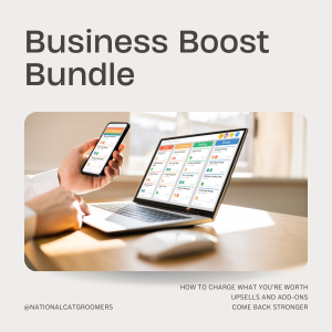 Business Boost Bundle