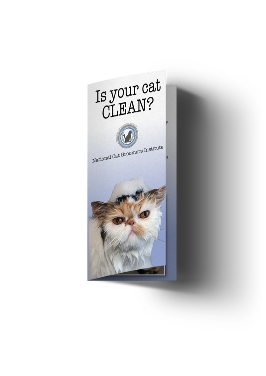 Clean Cat Customer Brochures