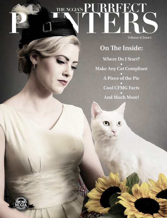 Punteros Purrfectos Vol 4.1