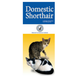 Domestic Shorthair Customer Brochures