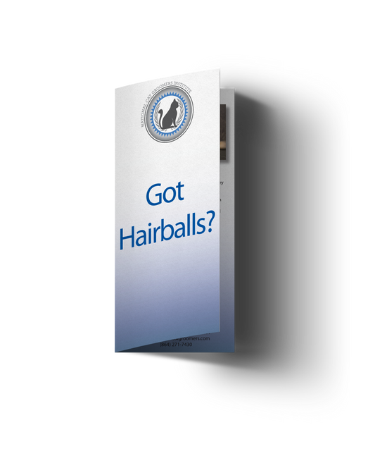 Folleto para clientes de Got Hairballs