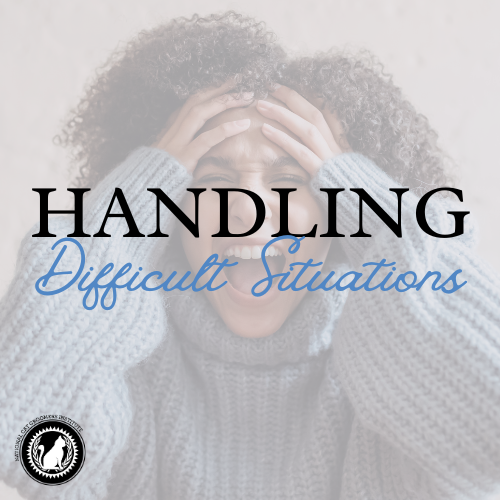 How to Groom Uncooperative Cat: Expert Tips for Stress-Free Care