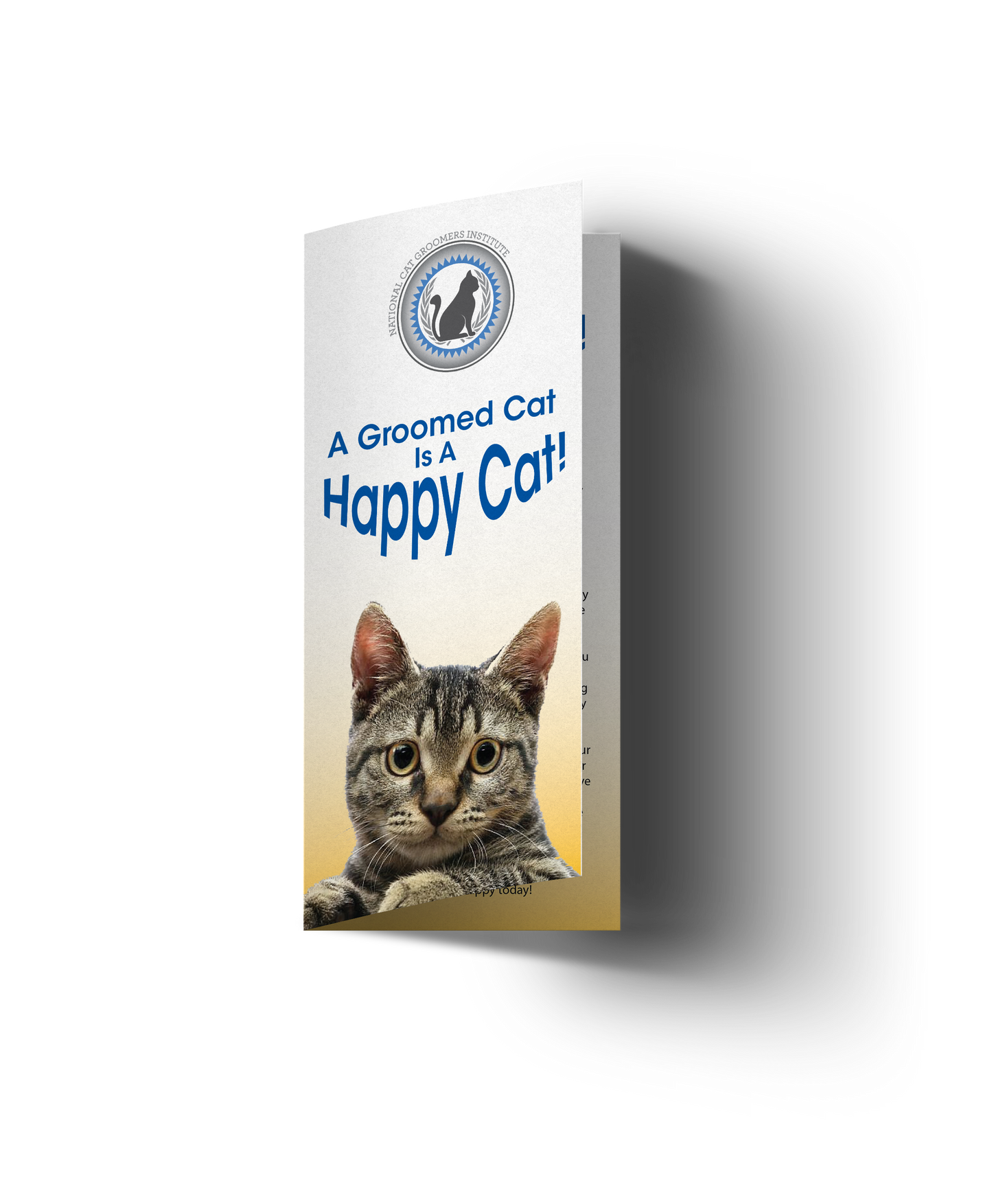 Happy Cat Customer Brochures