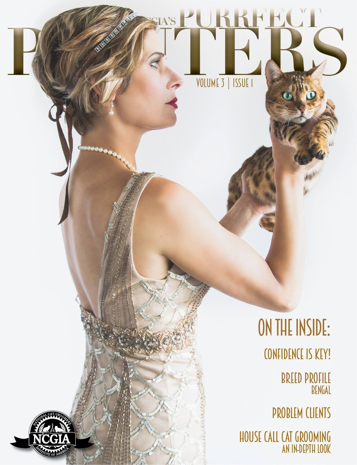 Why Groom Your Cat Ncgia: Essential Tips for Healthy Felines