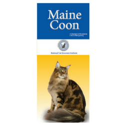 Folletos para clientes de Maine Coon