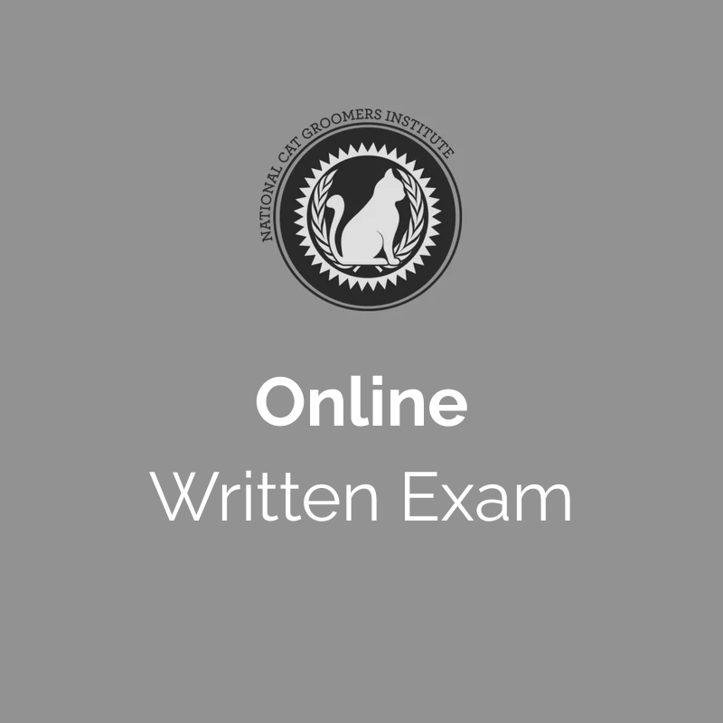 Online Written Exams