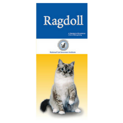 Folletos para clientes de Ragdolls