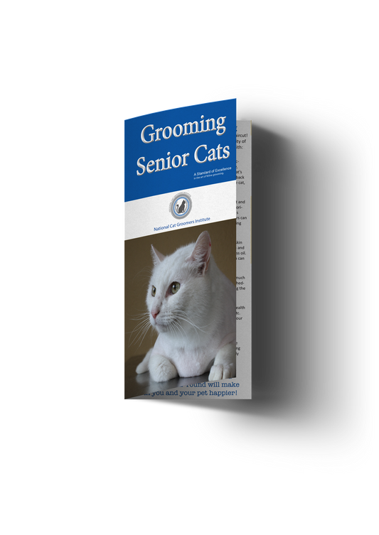 Folletos para clientes de gatos mayores