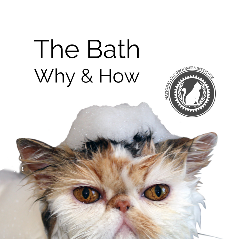 The Bath course icon