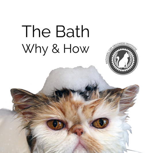 The Bath course icon