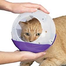 Air muzzle on cat