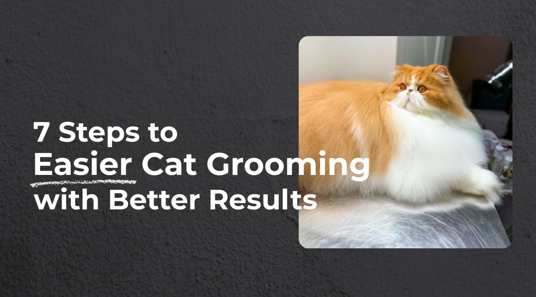 7 Steps to Easier Cat Grooming With Better Results