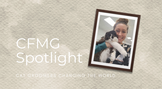 Amanda Henry, CFMG | Certified Feline Master Groomer Spotlight