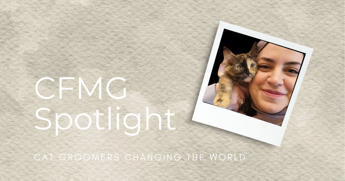 Dana Kilani, CFMG | Certified Feline Master Groomer Spotlight