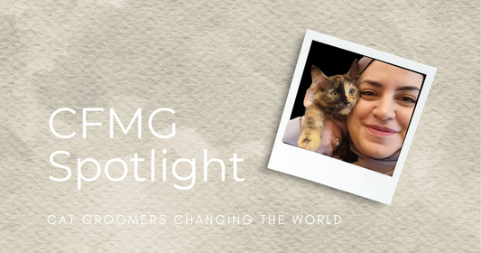 Dana Kilani, CFMG | Certified Feline Master Groomer Spotlight