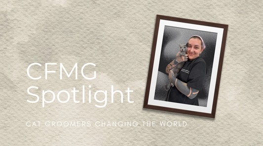 Gianna Robinson, CFMG | Certified Feline Master Groomer Spotlight