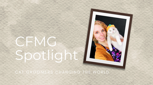 Paige Graye, CFMG | Certified Feline Master Groomer Spotlight