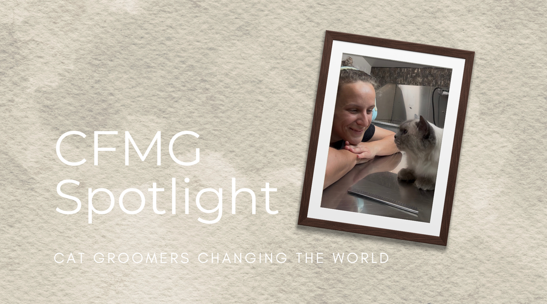Sandi Smith, CFMG | Certified Feline Master Groomer Spotlight