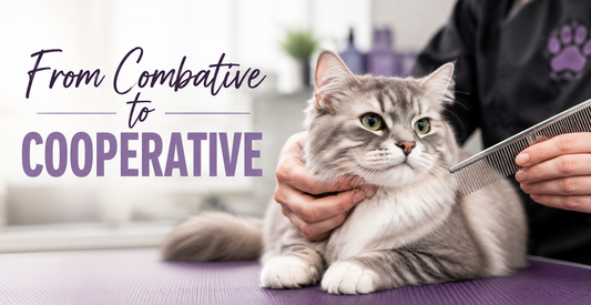 From Combative to Cooperative: How Trust Changes Cat Grooming