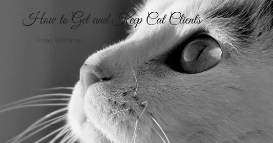 How to Get and Keep Cat Clients