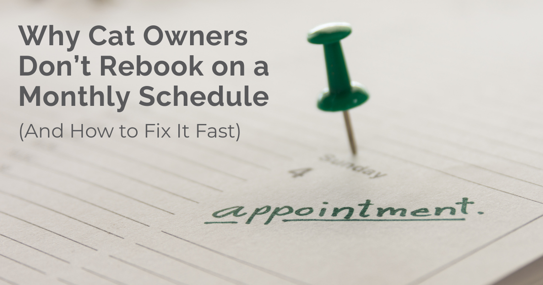 Why Cat Owners Don’t Rebook on a Monthly Schedule (And How to Fix It Fast)