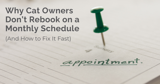 Why Cat Owners Don’t Rebook on a Monthly Schedule (And How to Fix It Fast)