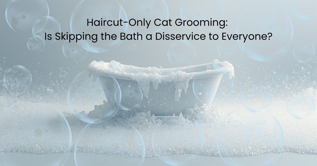 Haircut-Only Cat Grooming: Is Skipping the Bath a Disservice to Everyone?