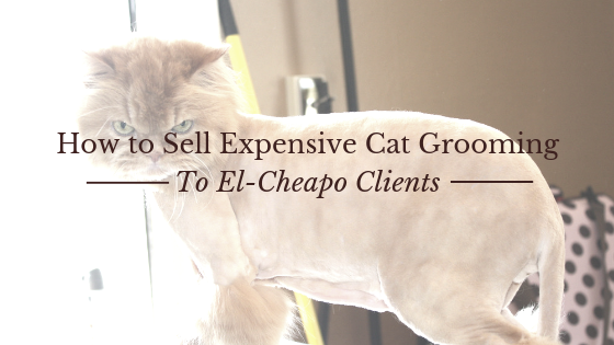 How to Sell Expensive Cat Grooming to El Cleapo Clients feat. Melissa Hall
