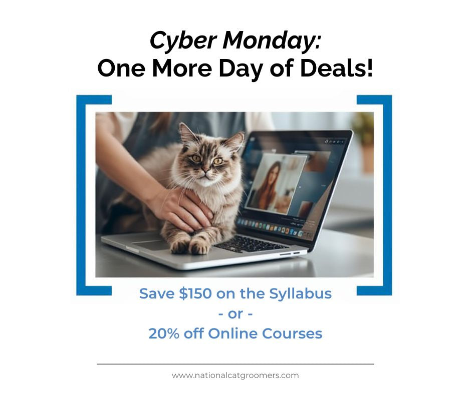 Cyber Monday 2025