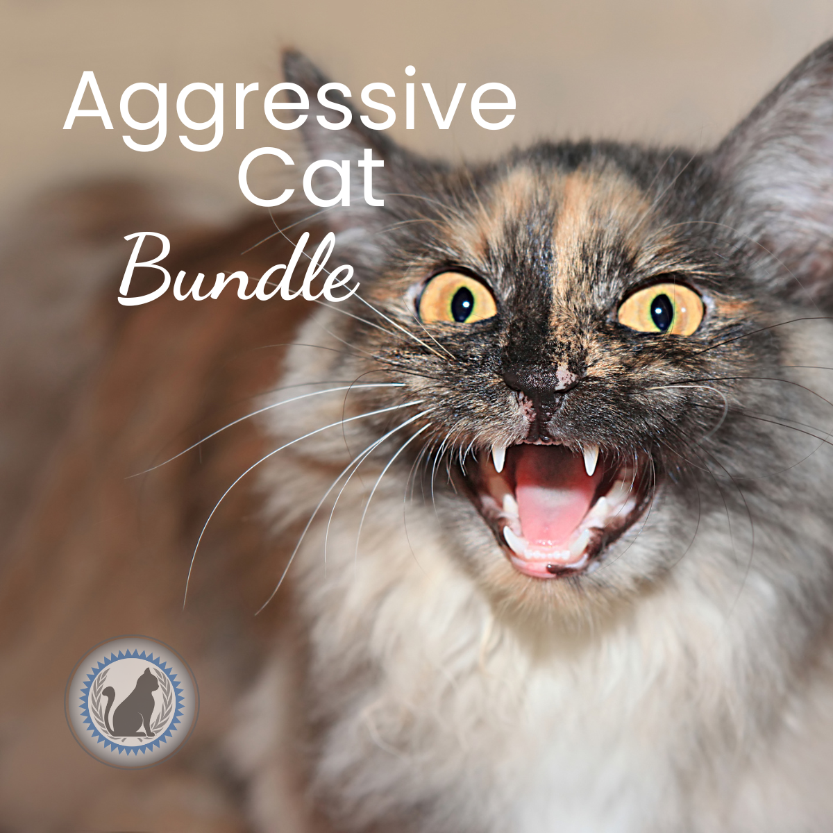 Feline Aggression Prevention photo