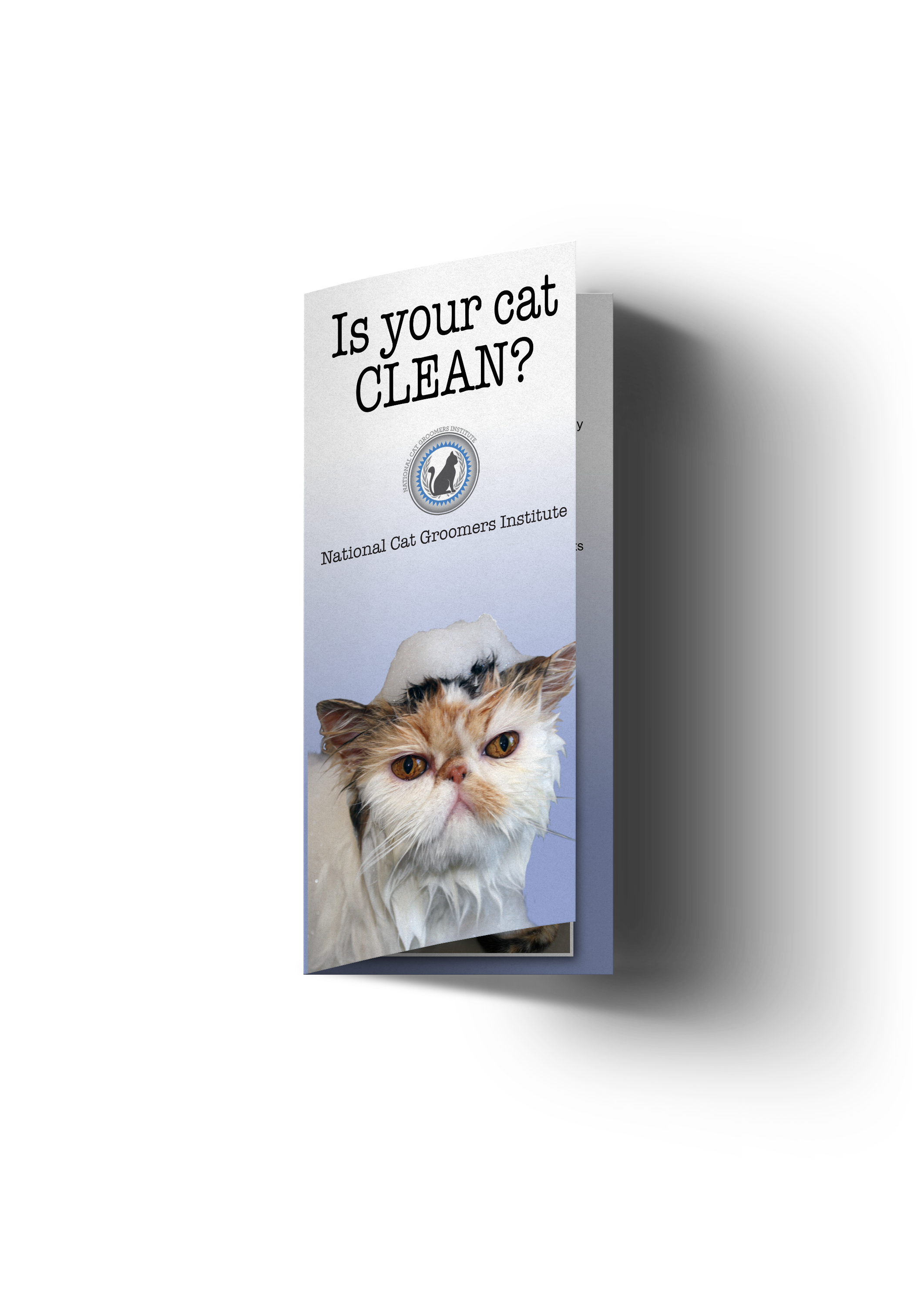 Clean Cat Grooming Brochures – Why Cats Need Baths | NCGI – National ...