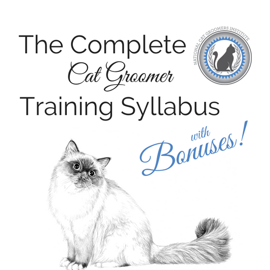 Complete Cat Groomer Training Syllabus with BONUSES