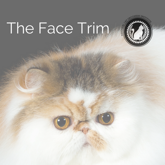 face trim online course