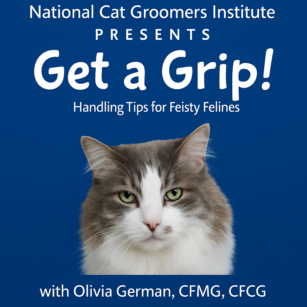 Get a Grip (digital video)